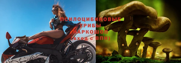 прущая мука Арсеньев