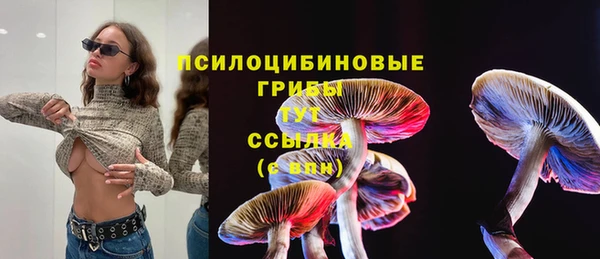 прущая мука Арсеньев